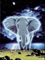 Elephant eclair