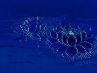 Monochrome lotus