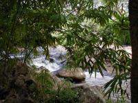 Eaux vives