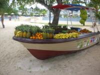 Fruits Dreams La Romana