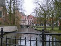 Bruges : les oies