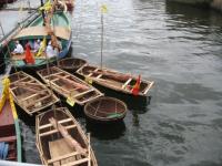 Brest 2008 flottille vietnamienne