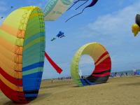 Cerf volant