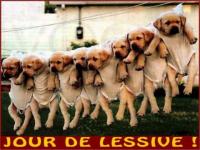 On est bientôt secs