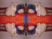 Quadruple baba