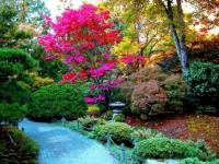 Color en primavera