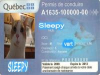 Permis sleepy