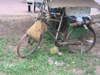 Hanoï : A bicyclette !