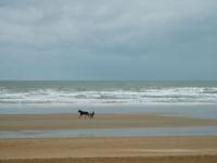 Luc sur mer
