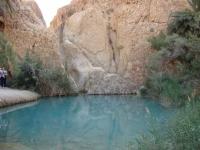 L'oasis