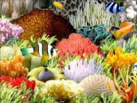 Aquarium