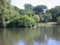 Parc et petit lac..