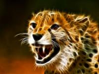 Fractale Guépard