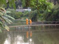 Moines en Thaïlande
