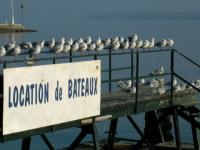 Chacun son tour...