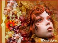 Feuillage d'automne