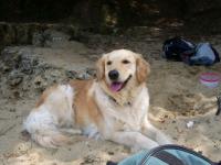 Tency