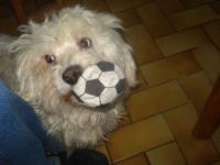 J'ai eu le dernier ballon
