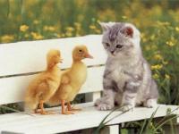 Nous sommes 2 soeurs jumelles !