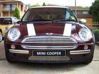 Mini's addict 17