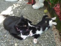 Avril et Cacao