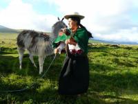 Equateur