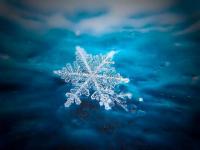 Flocon de neige