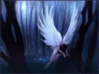 L'ange blanc
