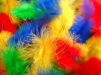 Plumas de carnaval