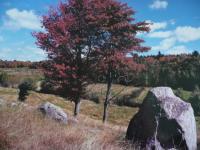 Le Rocher, Beauce, Qc.
