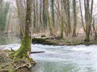 Au bord du ruisseau...