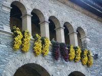 Corbeilles d'automne