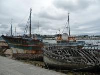Camaret (29)