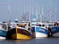 Port de pêche