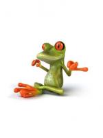 Grenouille Zen