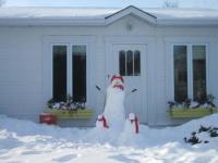Neige pingouins