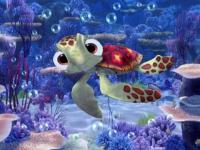 Jeux aquatiques