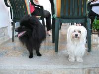 LUTIN ET PERLE