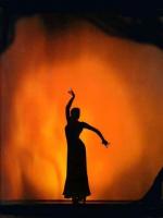 Flamenco Olé !
