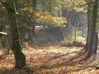 Chemin d'automne