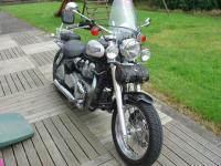 Triumph de milou