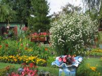 Jardin de fleurs
