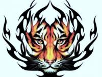 Tigre tatoo