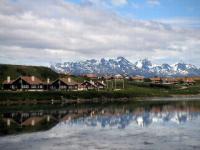 Argentine
