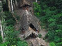 Tribu d'indien, Amazonie