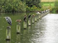 Kensington Park