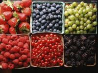 Barquettes de fruits