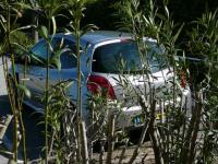 Clio3 rs