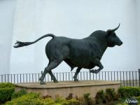 Toro de Ronda