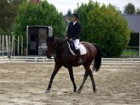Ouragan clos georges dressage